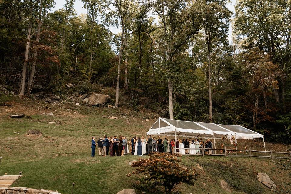 Laurel Falls