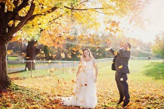 Mary Ann Weddings and Events, LLC