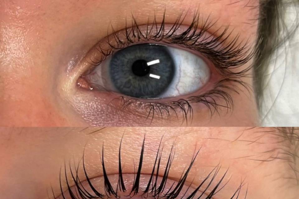 Korean Lash Lift
