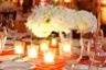 The Social Butterfly Events & Party Planning Company