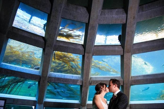 Underwater Dome