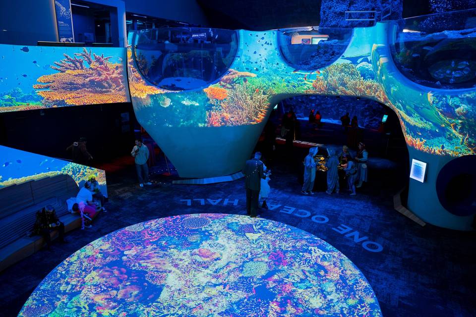One Ocean Hall