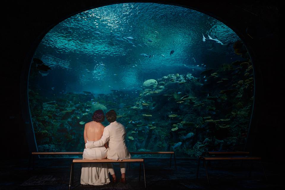 Ocean Pavilion