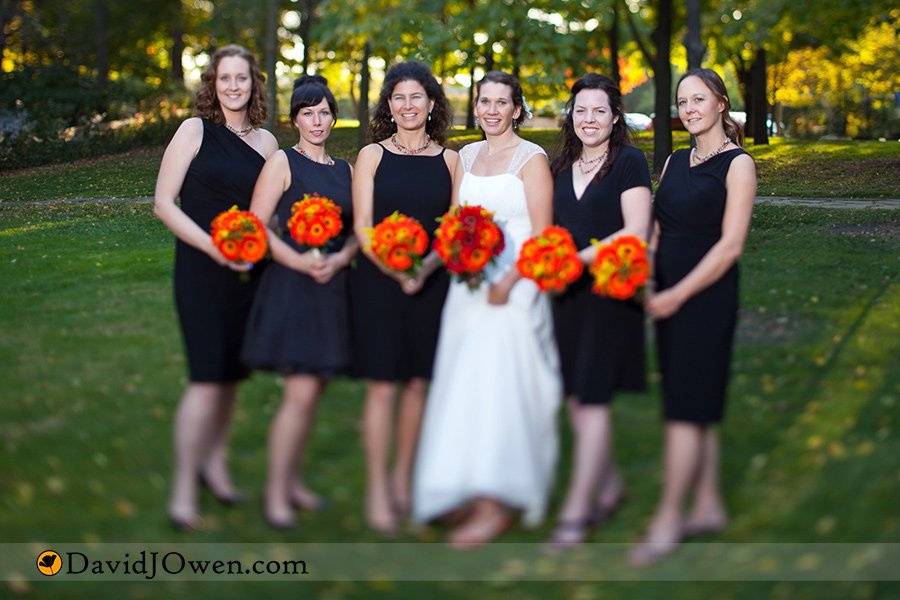 David J Owen Photography LLC