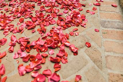 Aisle petals