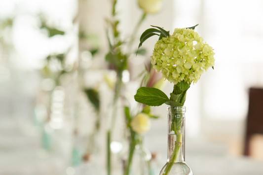 Table setup with centerpiece