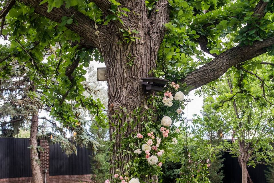 Ceremony Tree