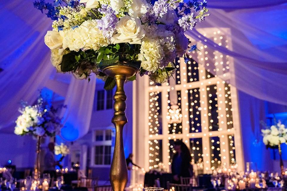 Starry Night Reception