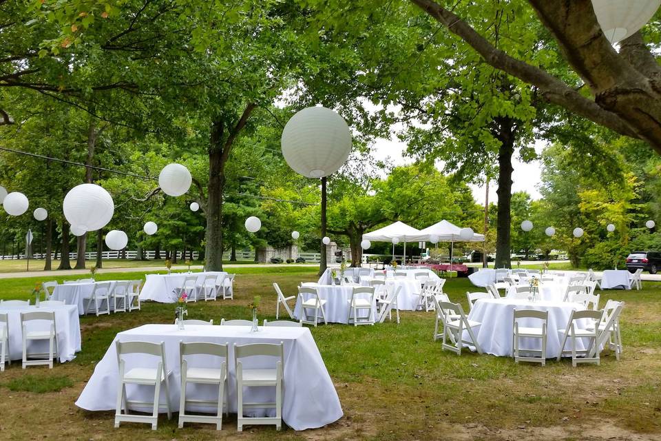 Dining on the Lawn