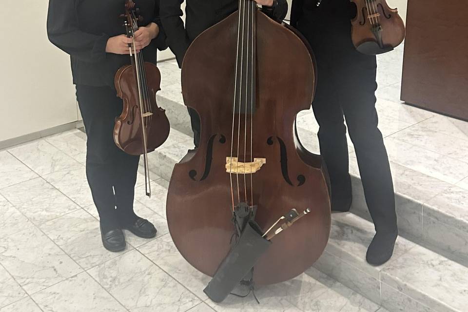 Parkwest Bass Trio