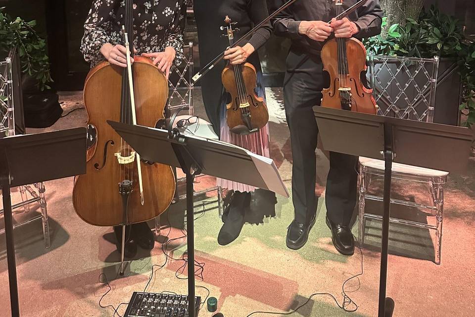 Parkwest String Trio
