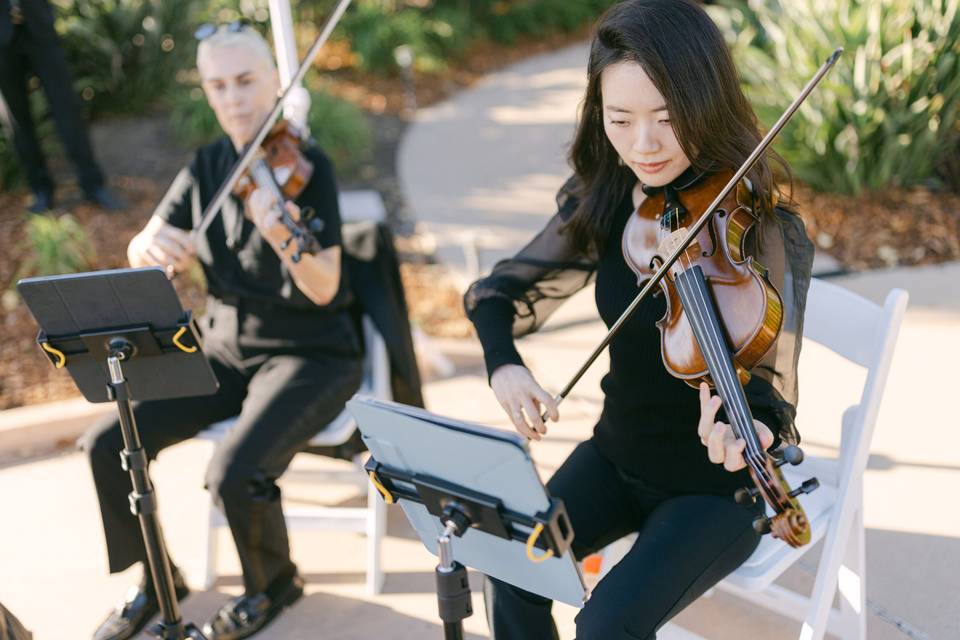 String Quartet