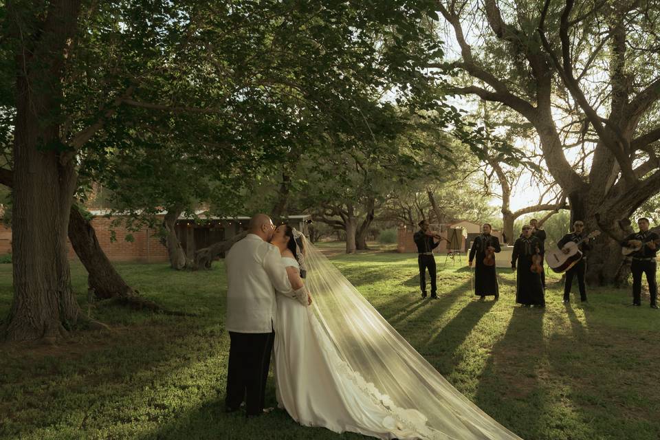 Wedding Photo