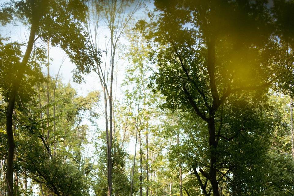 September forest ceremony