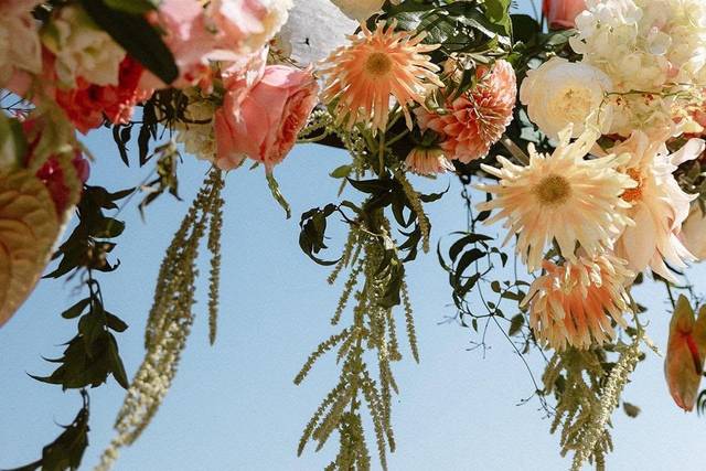 Little Darlin Flora