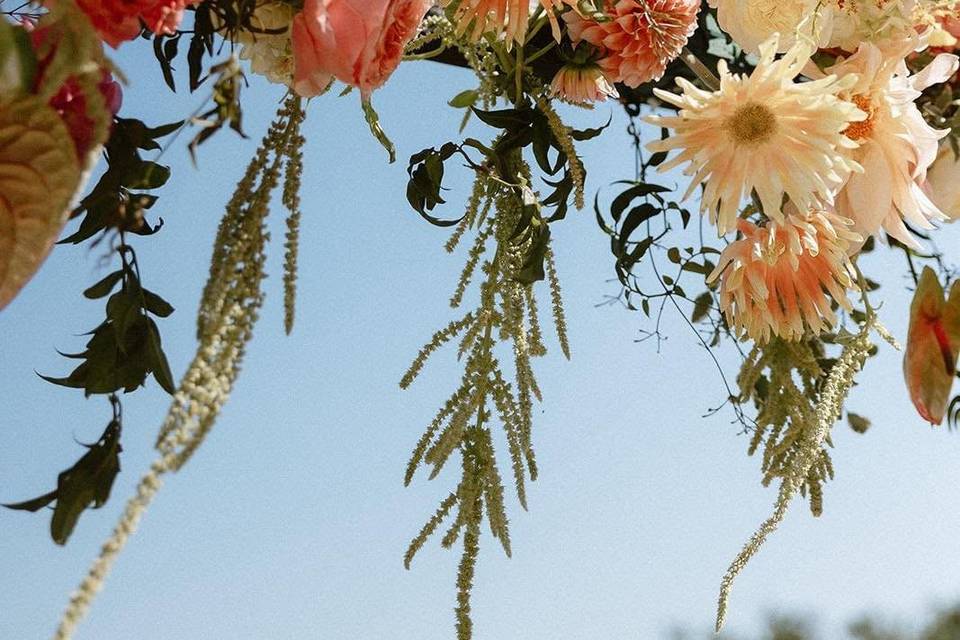 Little Darlin Flora