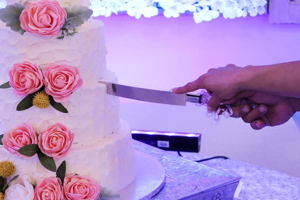 Cake cut