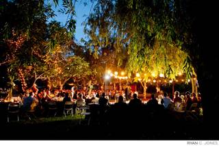 Weddings at The Grove