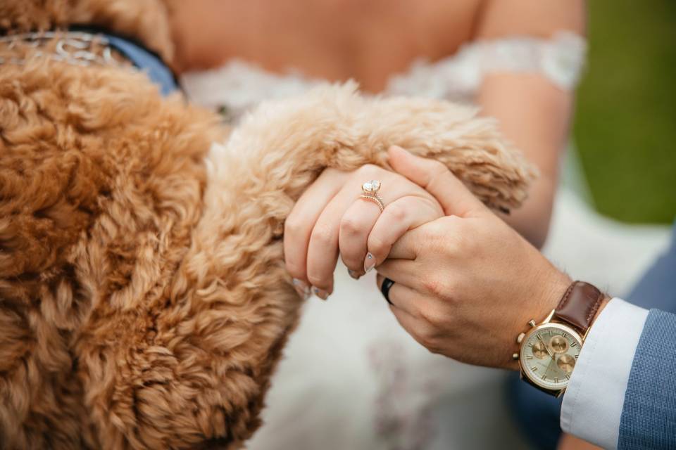 Romantic wedding stories