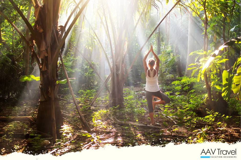 Rejuvenate in nature