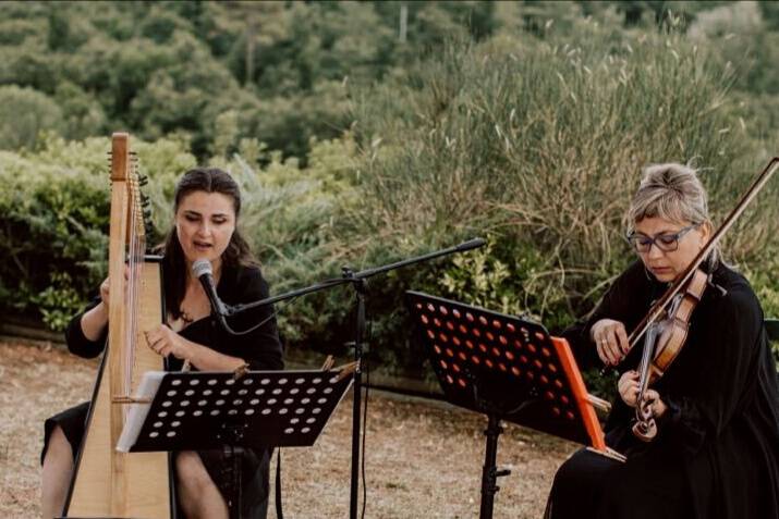 Harp and violin duo