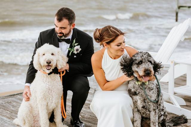 Dog Friendly