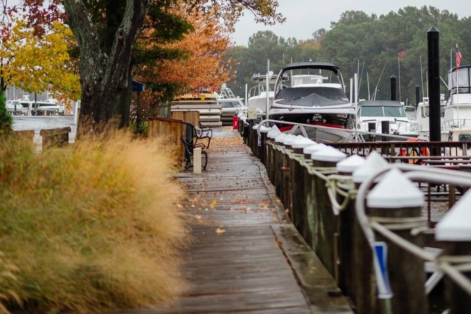 Marina in the Fall