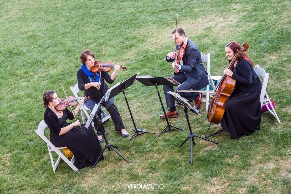 Ocean String Quartet