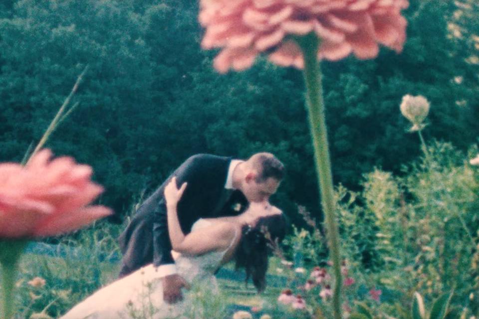 Super 8mm in the garden!