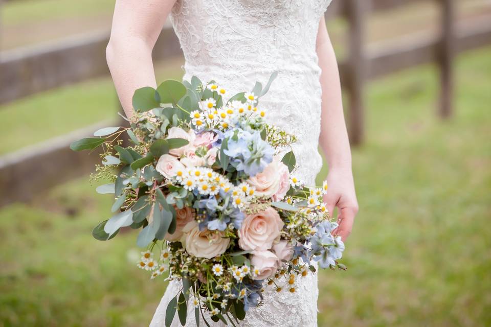Jacqueline Michael Photography