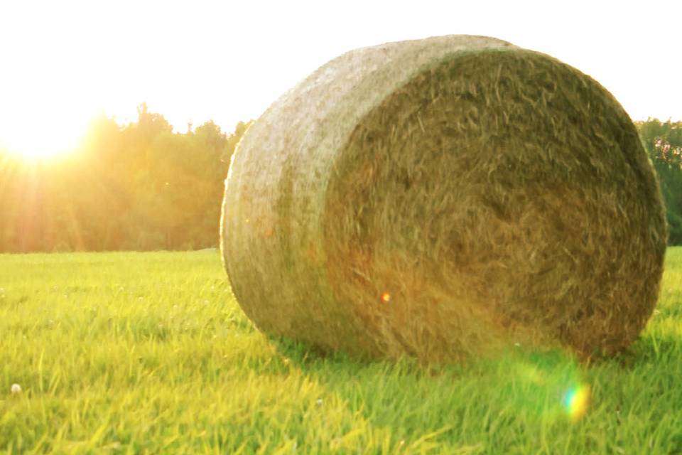 Hay field - Vermont