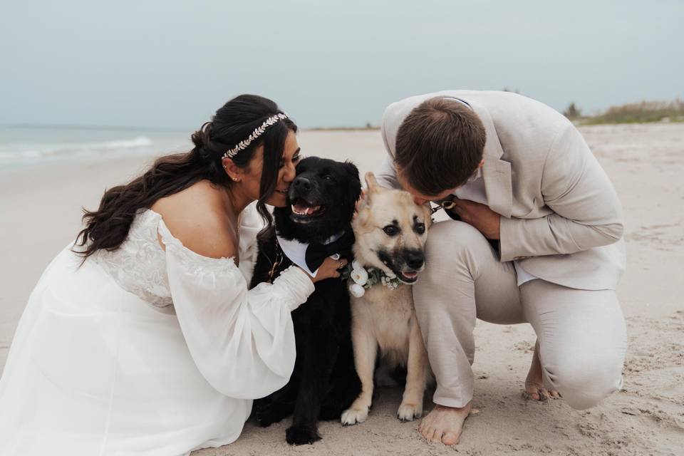 Beach Elopement
