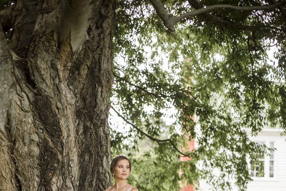 Bride next to ceremony tree