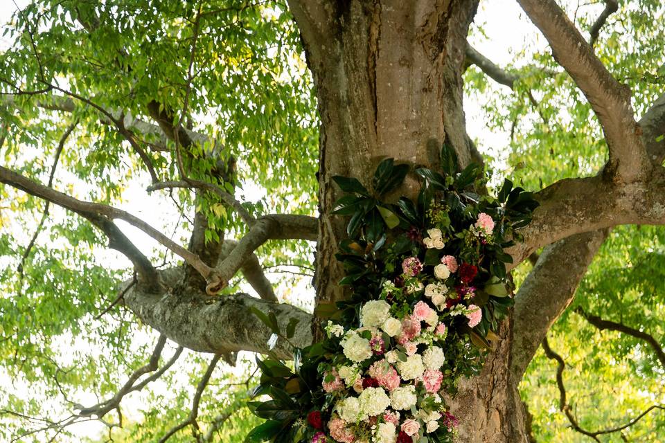 Ceremony tree decorated