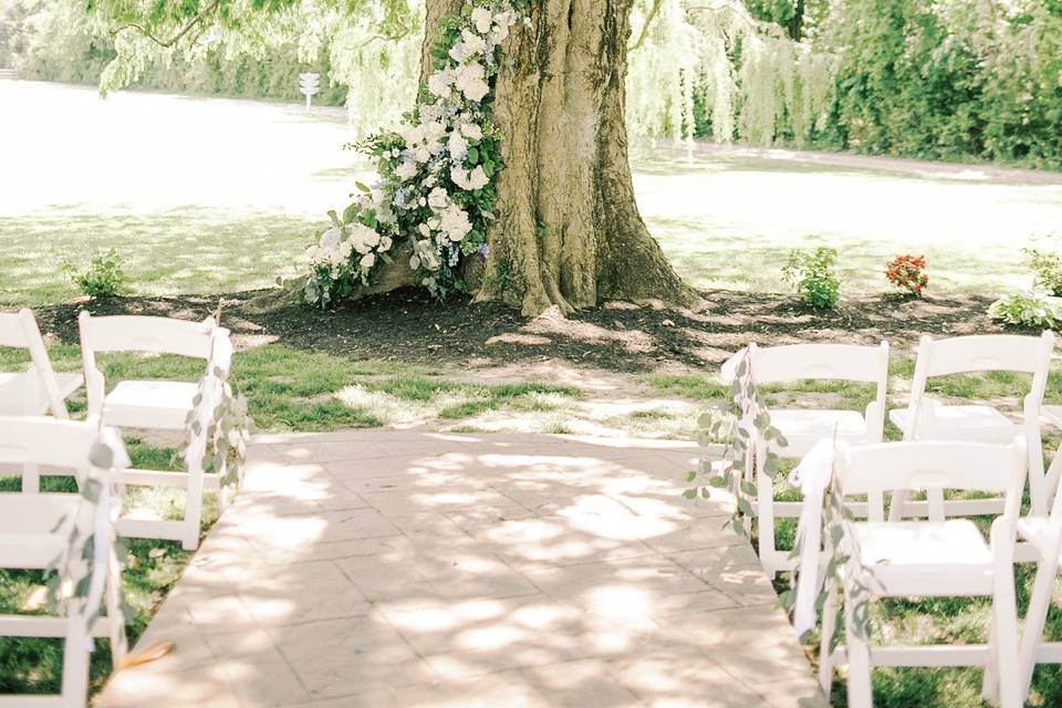 200 year Old Ceremony Tree