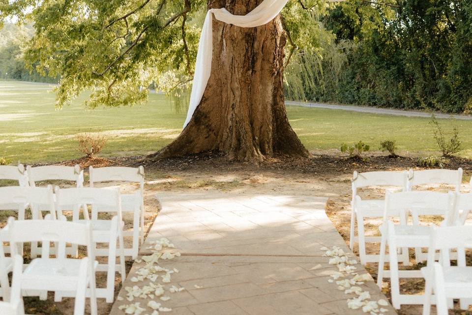 Tree Ceremony