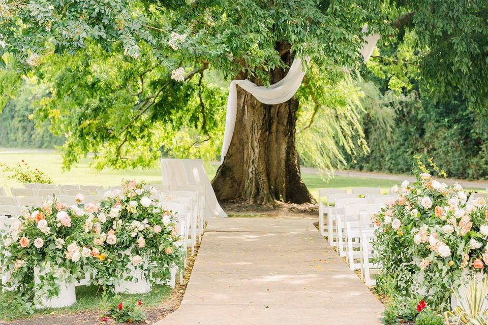 Tree Ceremony