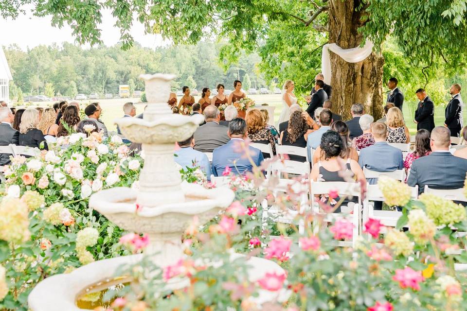 Tree Ceremony