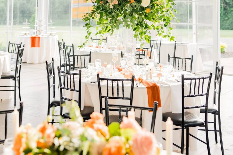 Greenhouse interior