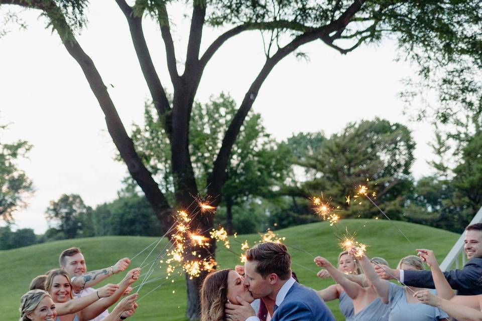 Wedding Party on the Green