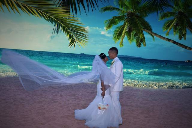 Married in paradise