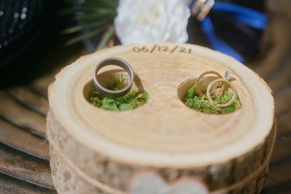 Rings in wood