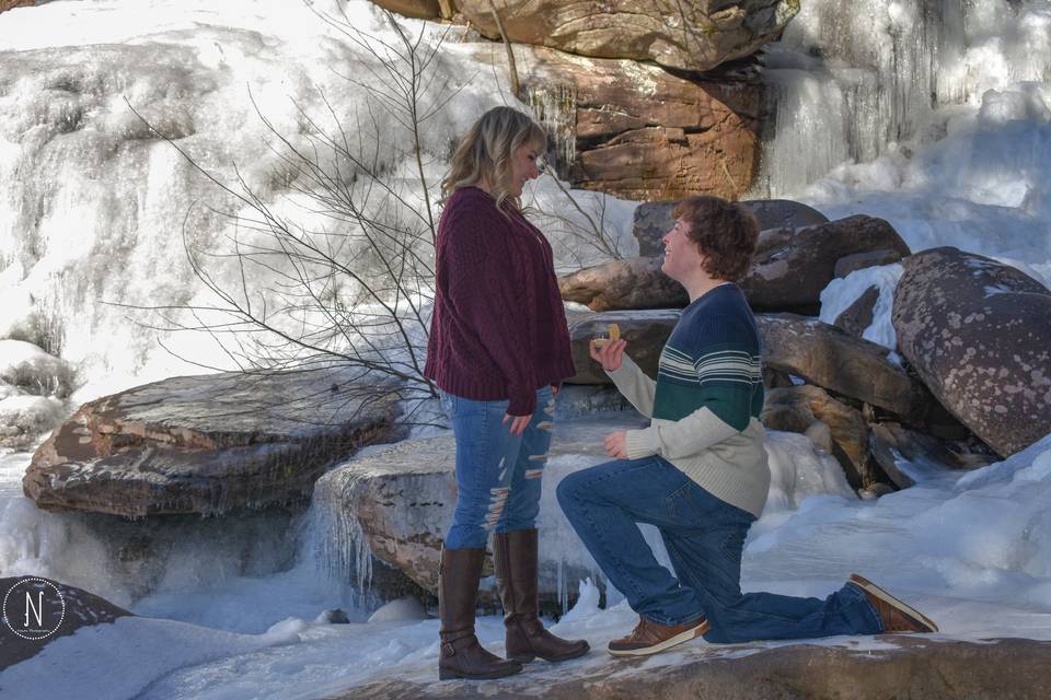Proposal in the Catskills