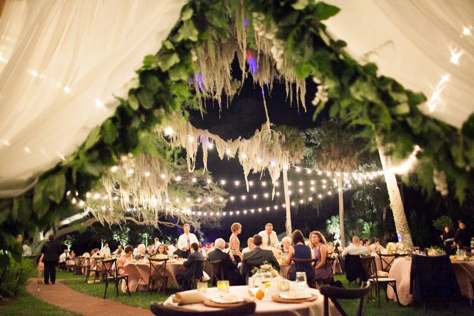 Outdoor reception lighting