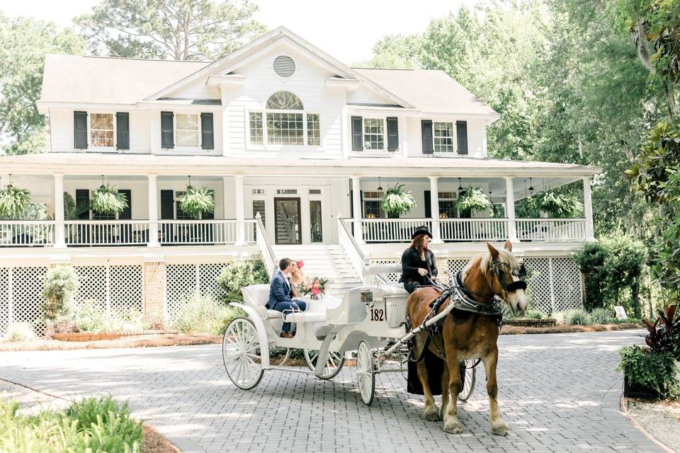 Horse drawn carriage