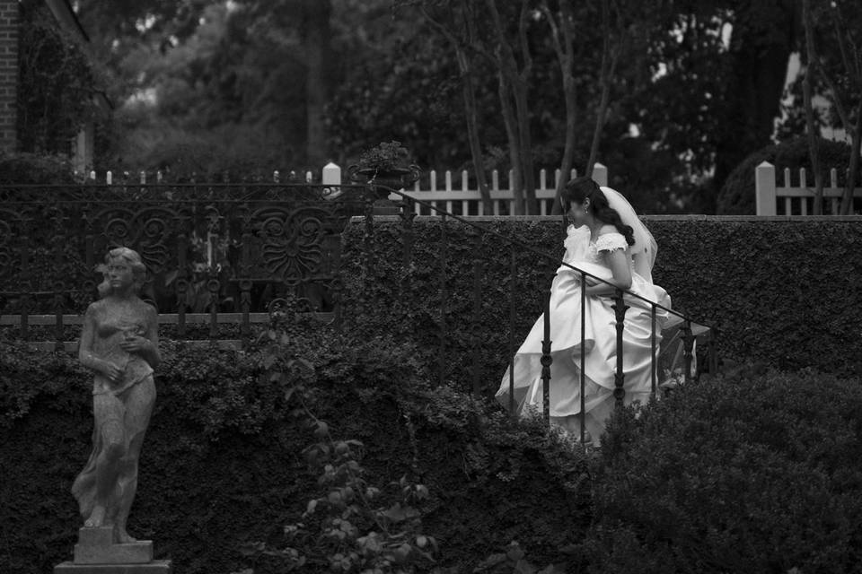Bridal