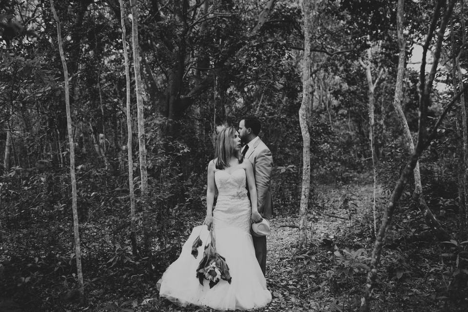 Trash the dress series