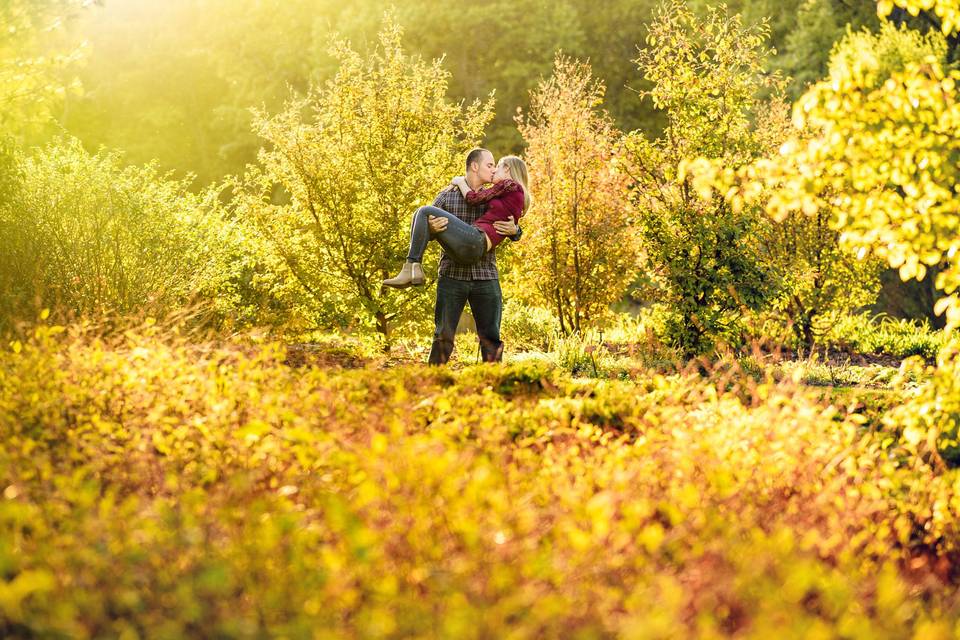 Sunshine Engagement