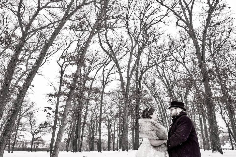 Winter Wedding