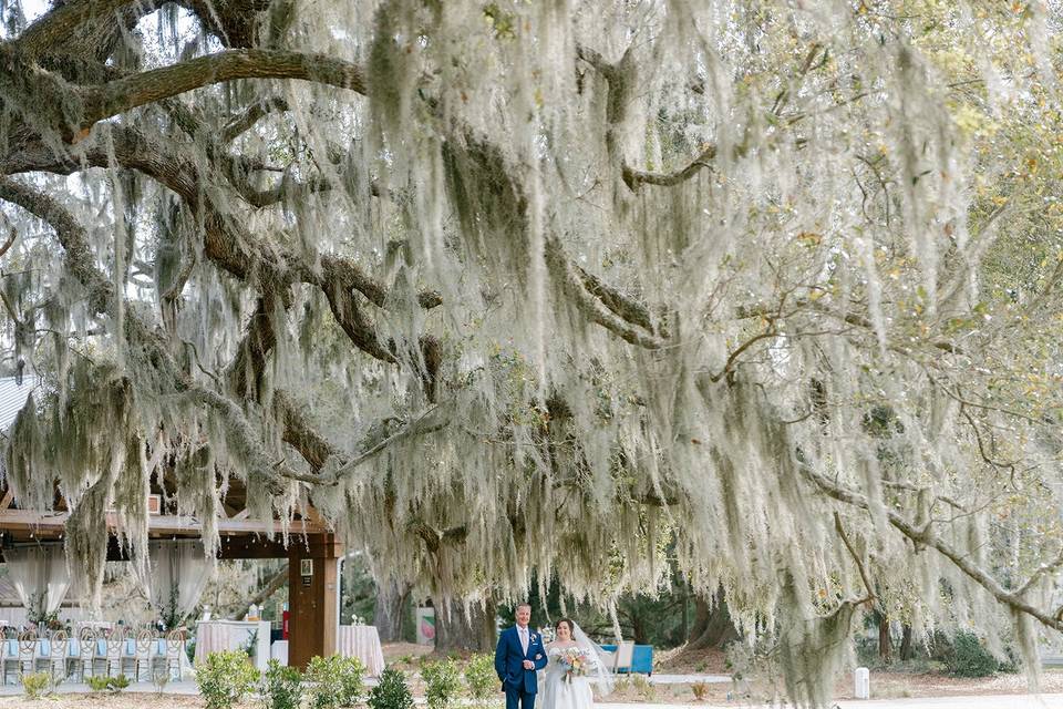 Bride/Father under the Oaks